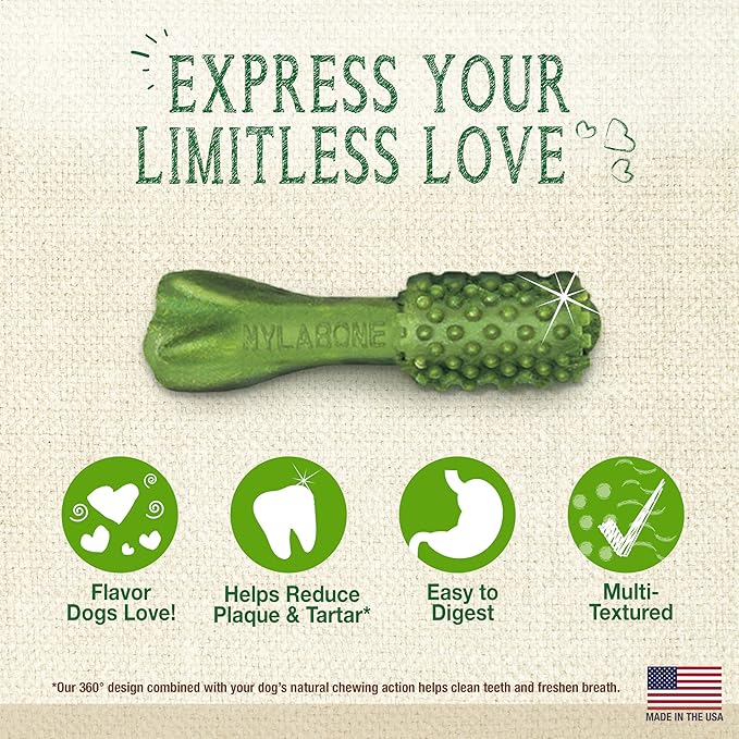 Nylabone Nutri Dent Dog Dental Chews - Natural Dog Teeth Cleaning & Breath Freshener - Dental Treats for Dogs - Fresh Breath Flavor, Mini (160 Count)