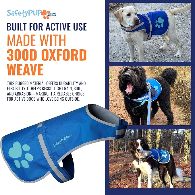 Dog Reflective Vest – Hi-Vis Fluorescent Visibility That Helps to Safeguard Your Pet On/Off Leash in Urban & Rural Areas (Blue, X-Small)