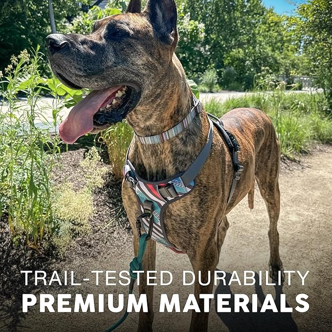 Embark Adventure Dog Harness, Reflective Trim No Pull Dog Harness for Large Dogs - Military Grade Nylon, Front Clip with Gel Lined Handle.