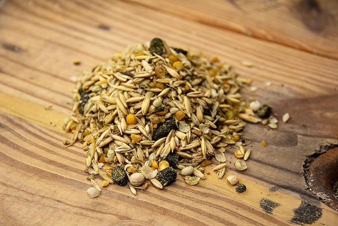 New Country Organics | Performance Horse Feed for Horses in Light to Moderate Work | Corn-Free and Soy-Free | 12% Protein | Certified Organic and Non-GMO | Horse Feeder with Grains & Oats 40 lbs