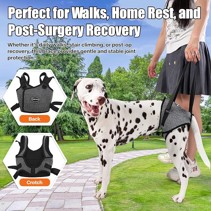 Dog Sling for Medium Large Dog Rear Leg, Lift Harness Provide Support with Muscle Atrophy and Joint Problems for Elderly Injured Arthritic Pet, Dog Weak Rear Legs Provides Rehabilitation Aid