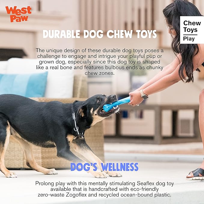 WEST PAW Seaflex Drifty Dog Toy – Machine Washable Dog Toys for Moderate Chewers – Eco-Friendly Zogoflex Toys for Dogs – Perfect for Gnawing, Fetch, Catch, Pet Training – 8.5" Large, Emerald