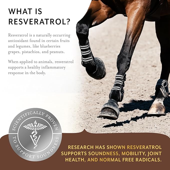 Equithrive Original Joint Supplement Powder with Resveratrol and Hyaluronic Acid for Horses, Equine Care, Molasses Flavor, 8 lbs