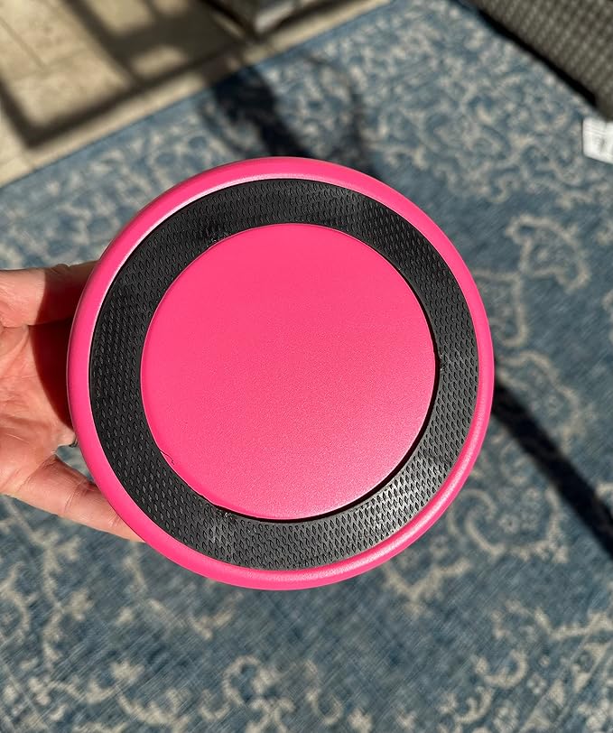 Bright Pink Dog Bowl for Small Dogs, 32 oz Non Slip Stainless Steel Pet Bowl, Vacuum Insulated Pet Bowl That Keeps Water Cool (32 oz, Bright Pink)