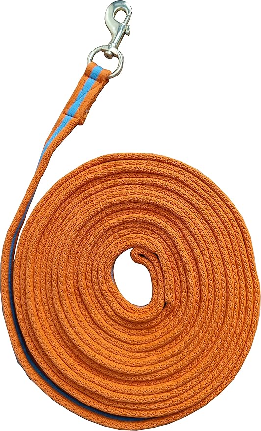 Soft Padded Lunge Line Rein Lead for Horses 27ft Looped Handle Swivel Clip (Orange/Turquoise)