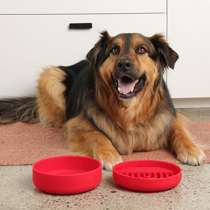The Slowdown Bowl Silicone Slow Feeder for Dogs & Puppies, Slow Eating, Modern Lick Mat Design, Reduces Gulping, Fits 2 Cups 7.5” Across x 1.5” Tall, Mealtime Challenge, Medium-Cherry