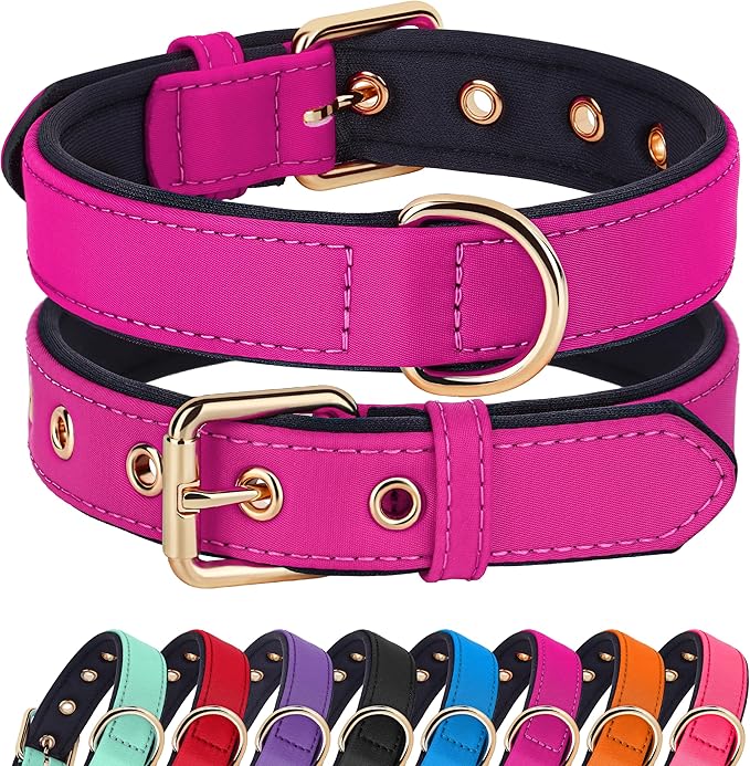 Didog Soft Padded Dog Collars for Small Dogs, Lightweight and Breathable Dog Collar with Metal Buckle, Rose Purple, M