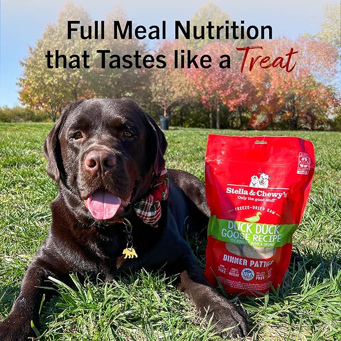 Stella & Chewy's Freeze-Dried Raw Dinner Patties - Duck Duck Goose Recipe - High Protein Grain-Free Puppy & Dog Food - Perfect For Picky Eaters - 25 oz