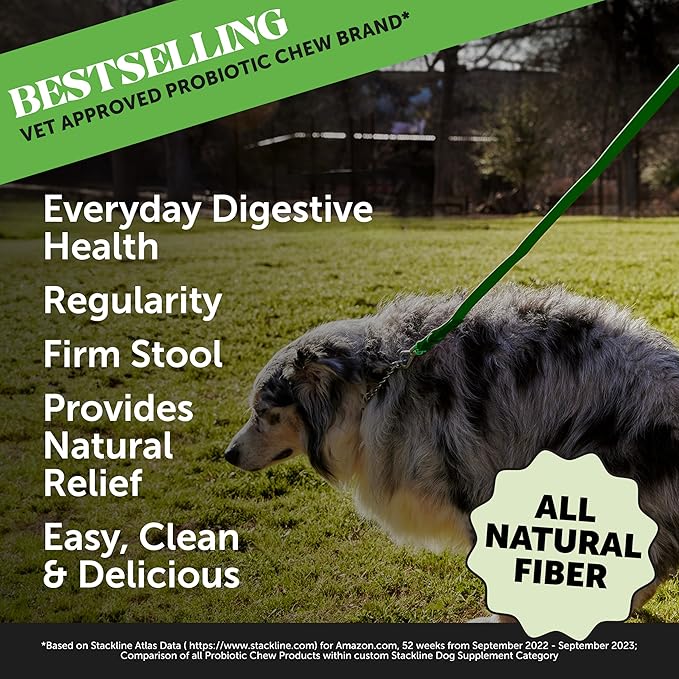 Pumpkin Fiber Powder Supplement for Dogs - All Natural Dog Probiotic with Psyllium Husk, Pumpkin Seeds and Apple Pectin for Healthy Digestion (90 Scoops)