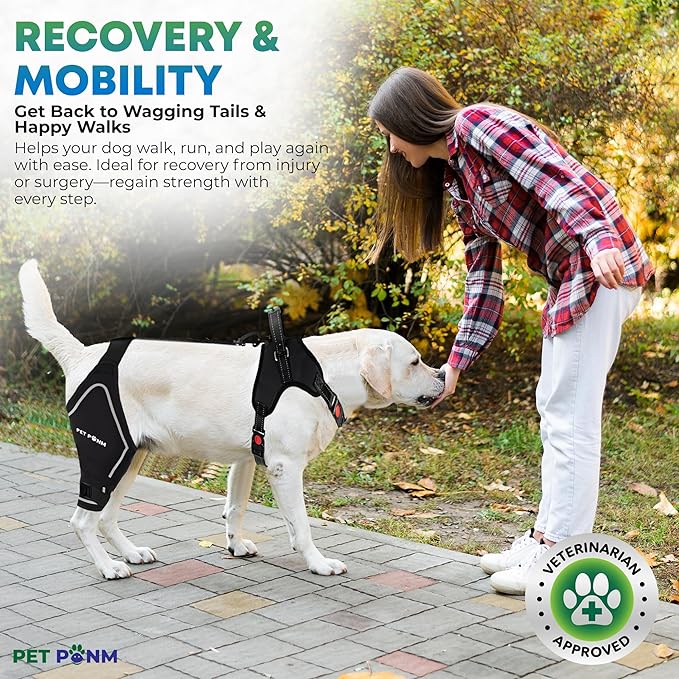 Petpanm- Adjustable Dog Knee Brace- Right Hind Leg with Integreted Harness- Premium Support for Torn ACL, Sprains & Strains Recovery, Enhances Mobility, Comfortable Neoprene. (XSmall)