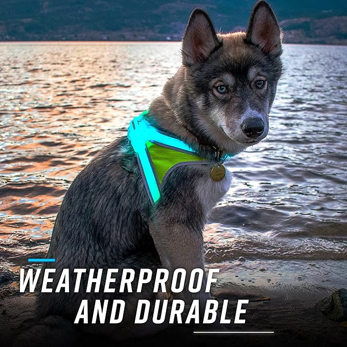 Noxgear LightHound – Revolutionary Illuminated and Reflective Harness for Dogs Including Multicolored LED Fiber Optics (USB Rechargeable, Adjustable, Lightweight, Rainproof) (X-Large)