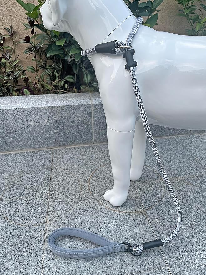 Slip Lead Dog Leash，Strong Nylon Rope Leash and Padded Handle,No Pull Outdoor Walking Training Lead for Small Medium Large Dogs (Grey,1/2"×4ft)