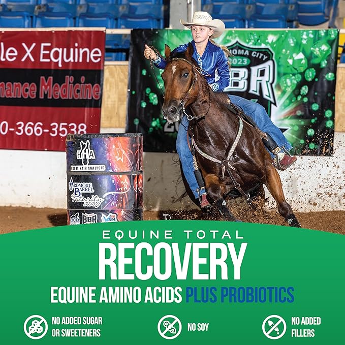 Pivotal Power+ Horse Supplement (174g/0.38lbs - 30 Servings) - 9 Equine Amino Acids Plus Probiotics for Horses - No Added Sugar, No Soy, No Fillers - Horse Joint Support Supplement, White