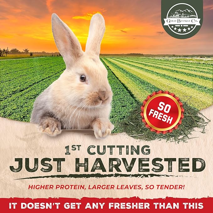 40lb Freshly Dried Organic Alfalfa Hay for Guinea Pigs, Rabbits, Chinchillas, Goats, Hamsters & Ferrets, Small Animal Food Rich in Protein & Fiber, Hand-Selected, Hand sorted, USA Grown