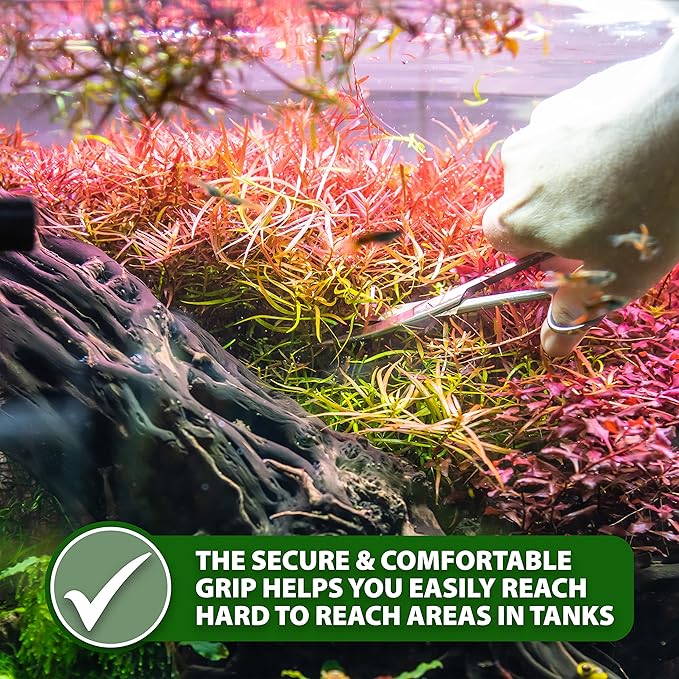 Mandala Crafts Rainbow Stainless Steel Aquascaping Tools Kit – Aquarium Plant Tools with Tweezers, Spatula, and Scissors for Fish Tanks, Hospital Tanks, Goldfish Bowls, Aquariums, and Terrariums