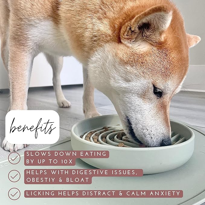The Slowdown Bowl Silicone Slow Feeder for Dogs & Puppies, Slow Eating, Modern Lick Mat Design, Reduces Gulping, Fits 2 Cups 7.5” Across x 1.5” Tall, Mealtime Challenge, Medium-Blush