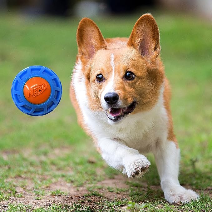 Nerf Dog 3in TPR EXO Squeak Ball - Blue/Orange