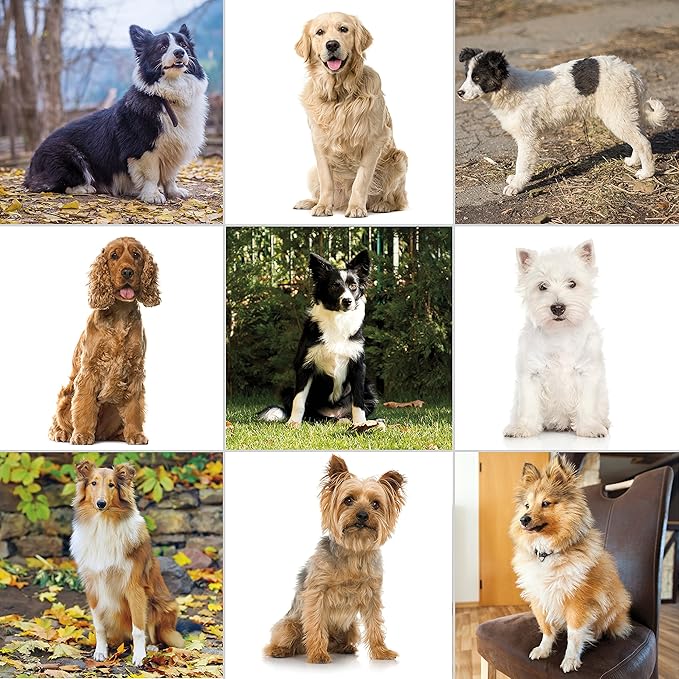 Wahl USA Clipper Pet-Pro Dog Grooming Kit - Electric Corded Dog Clipper for Dogs & Cats with Fine & Medium Coats - Model 9281-210